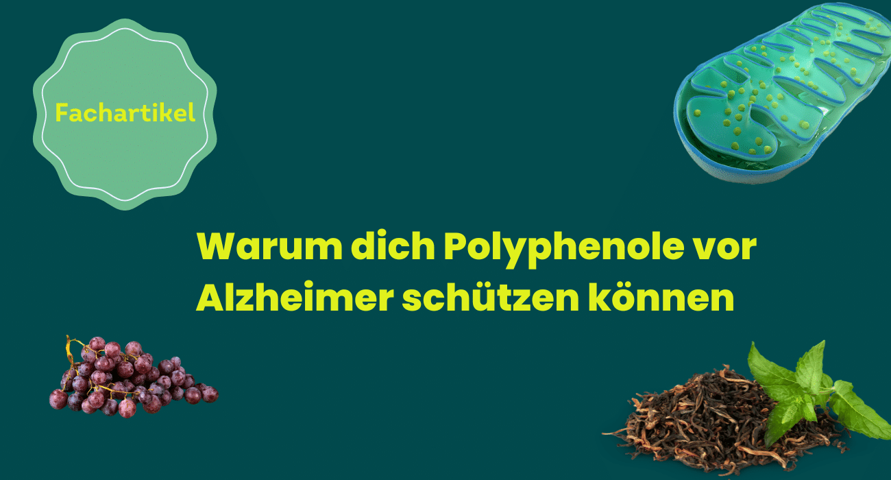 Warum dich Polyphenole vor Alzheimer schützen können