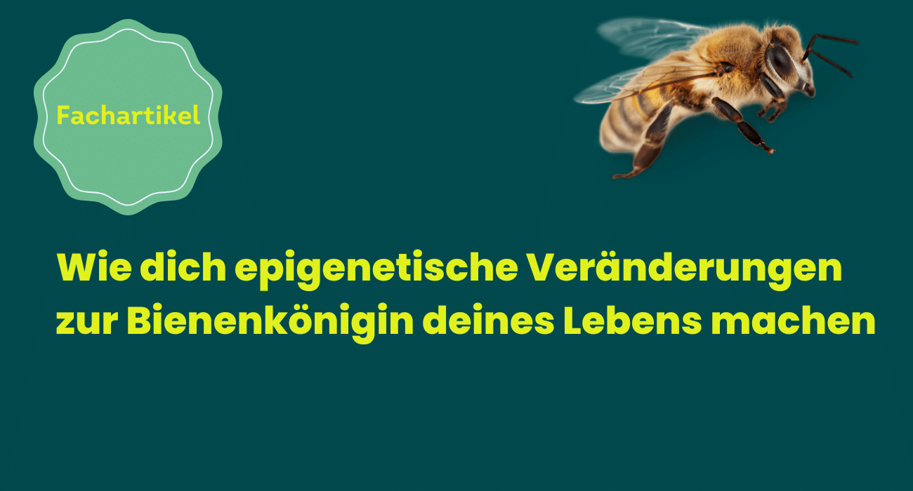 Wie dich epigenetische Veränderungen zur Bienenkönigin deines Lebens machen