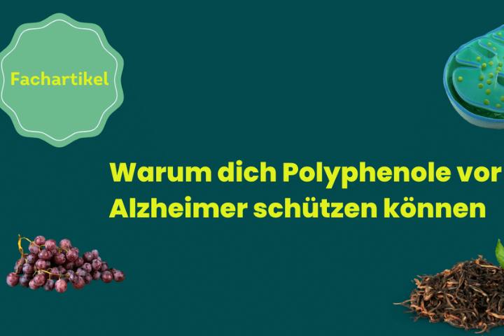 Polyphenole Alzheimer
