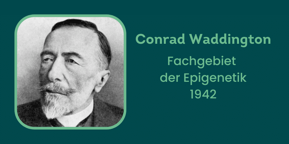 Conrad Waddington