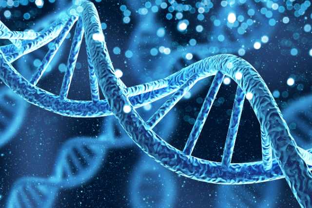 DNA als Träger von Erinnerungen